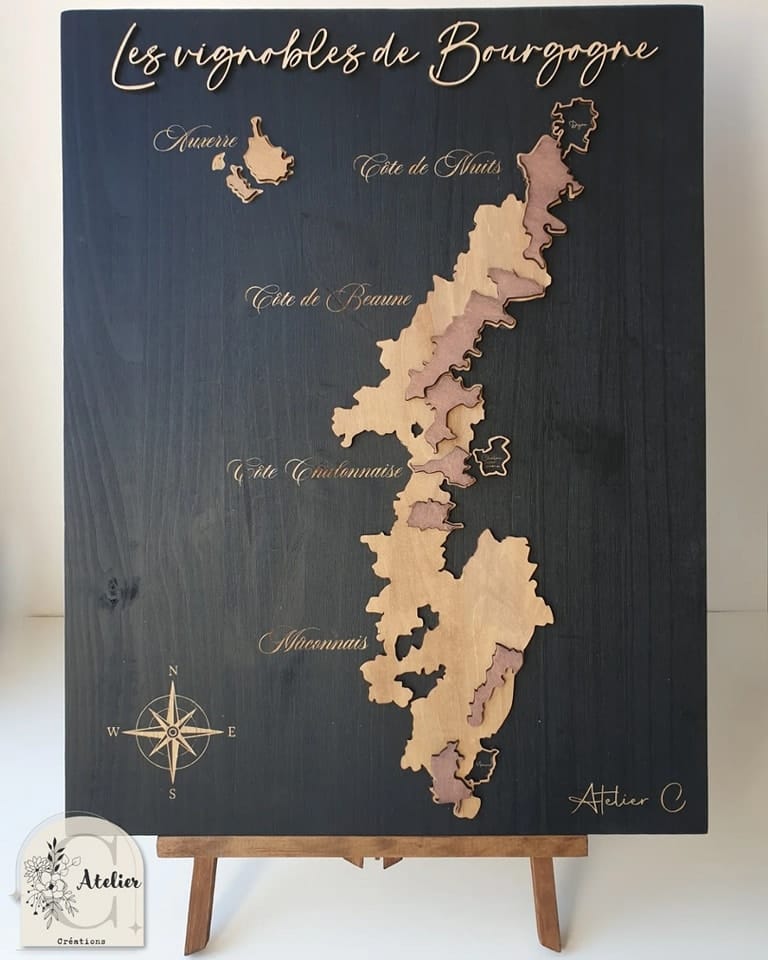 vixgnoble de bourgogne 3d